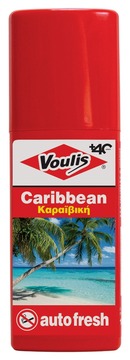 auto fresh 100ml Photo 4